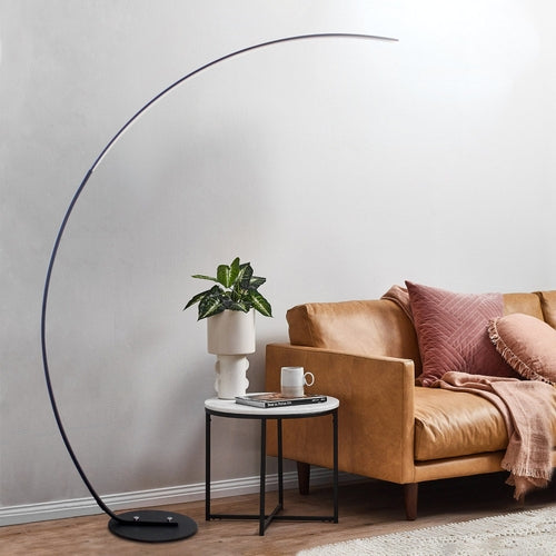 RGB Modern Curve Floor Lamp