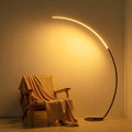 RGB Modern Curve Floor Lamp