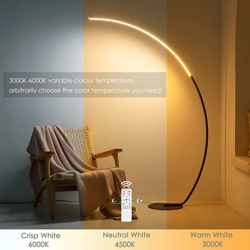 RGB Modern Curve Floor Lamp